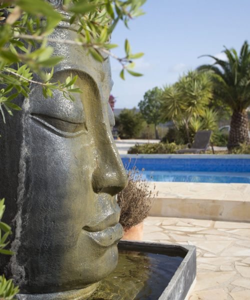 Finca Spanien Andrea kocht basisch in Jalon